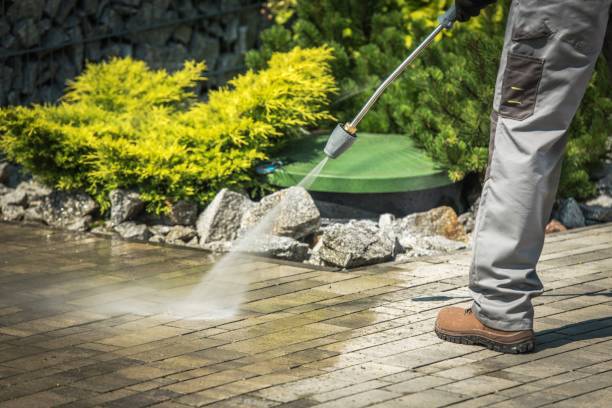 Best Driveway Pressure Washing  in Newton, TX