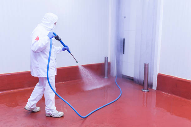 Best Post-Construction Pressure Washing  in Newton, TX