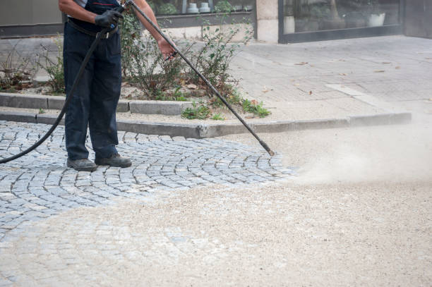 Best Concrete Sealing  in Newton, TX